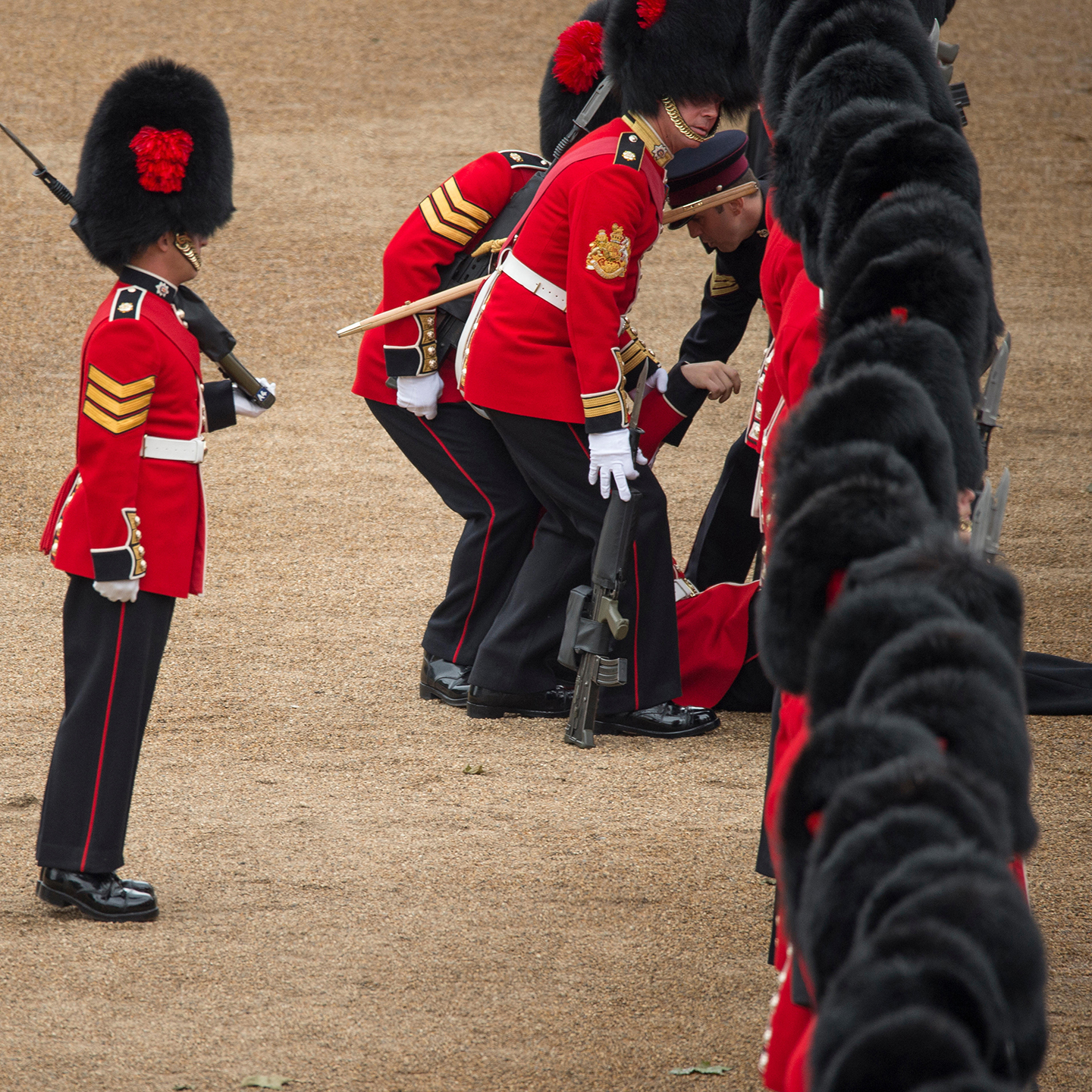 Foto: Ein Grenadier Guard der Queen bricht vor Hitze zusammen Bildnachweis: Malcolm Park/Alamy Live News.